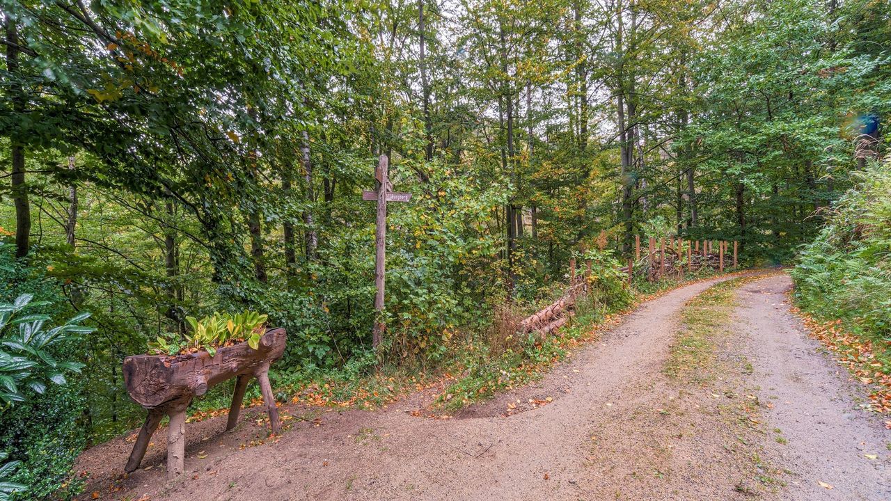 AreaSummer1KM AreaSummer1KM